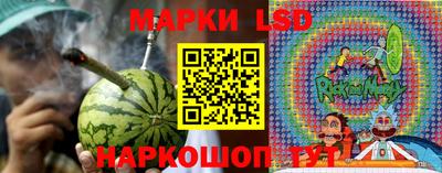spice Обнинск