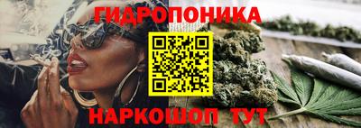 spice Обнинск