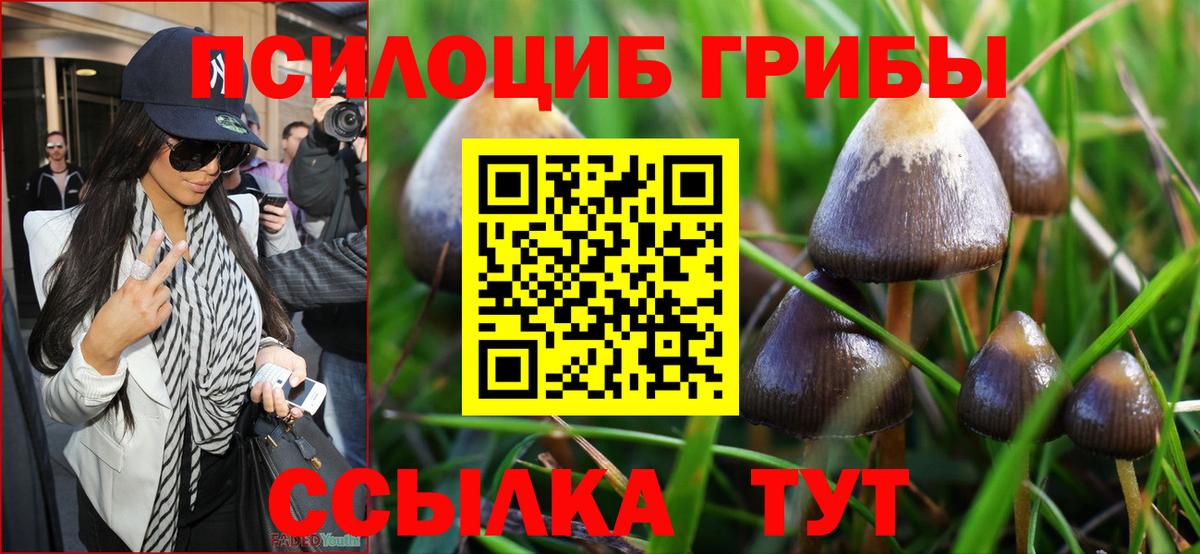 Псилоцибиновые грибы Magic Shrooms Тольятти