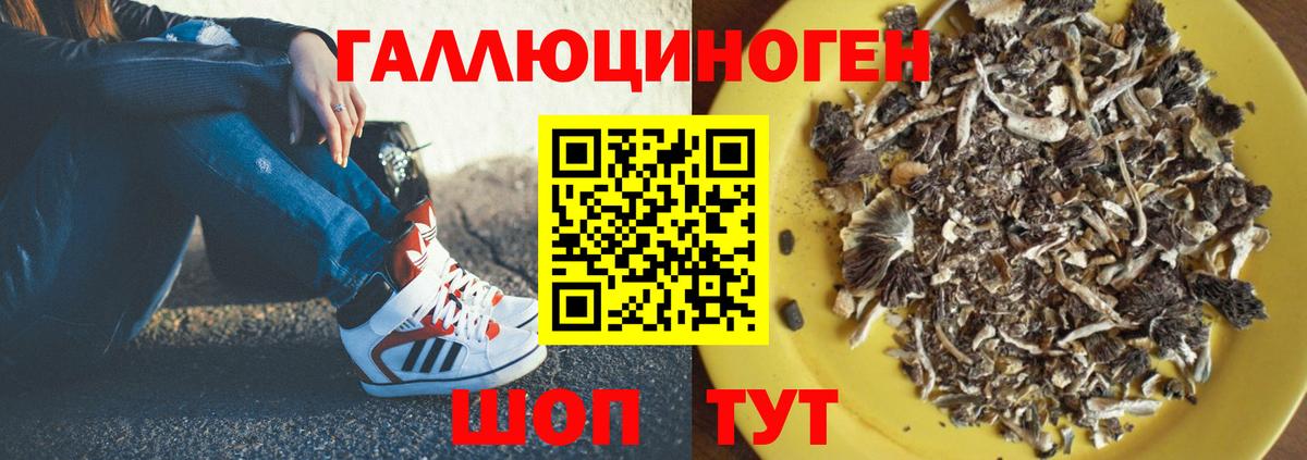 цена наркотик  Галлюциногенные грибы мицелий  Вход с VPN  Тольятти 